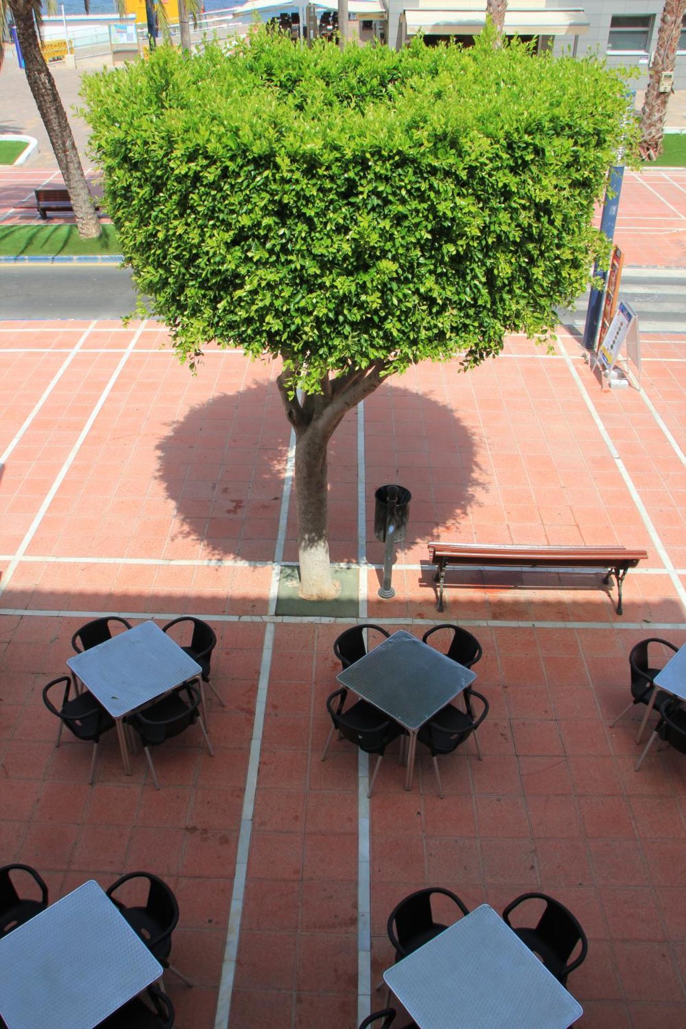 Hotel El Marino Santiago De La Ribera Oda fotoğraf